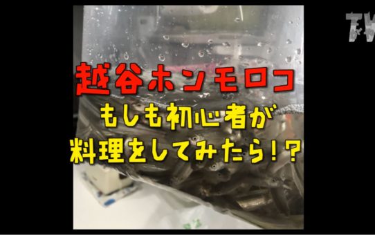 【こしがやTV】越谷ホンモロコ　もしも初心者が料理をしてみたら！？